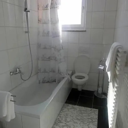 Mila Hotel 3*